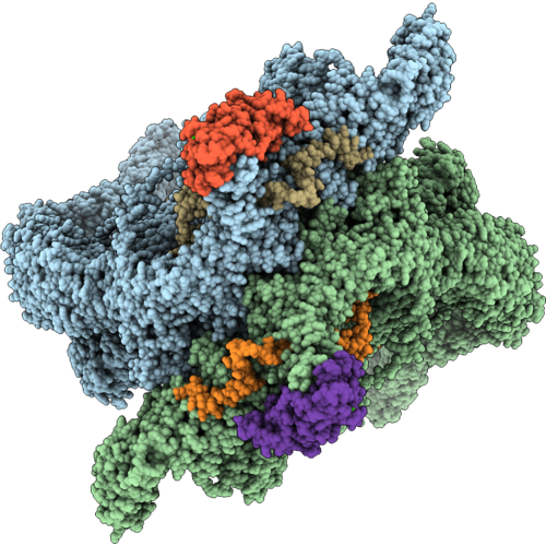 9XTJ image