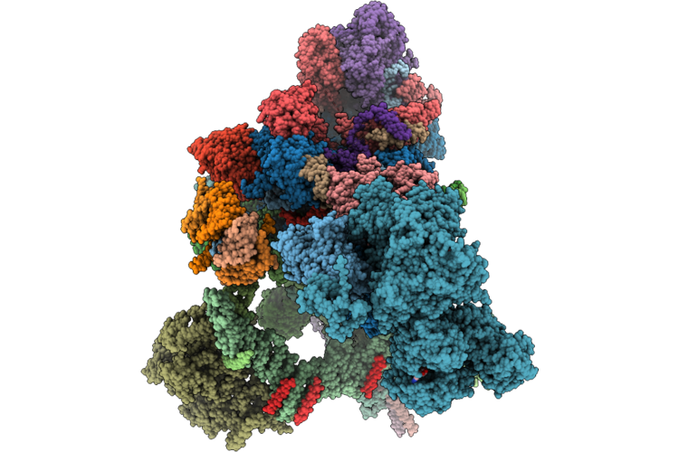 9XTT image