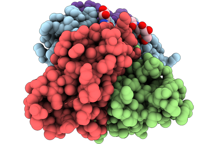 9XTU image