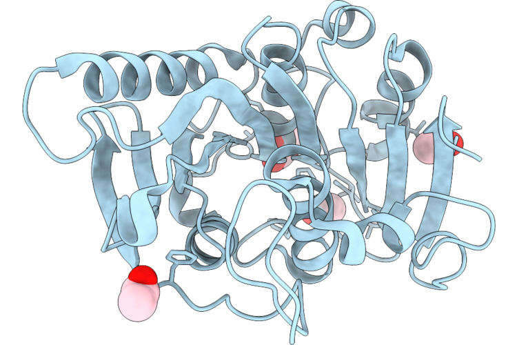 9XUG image
