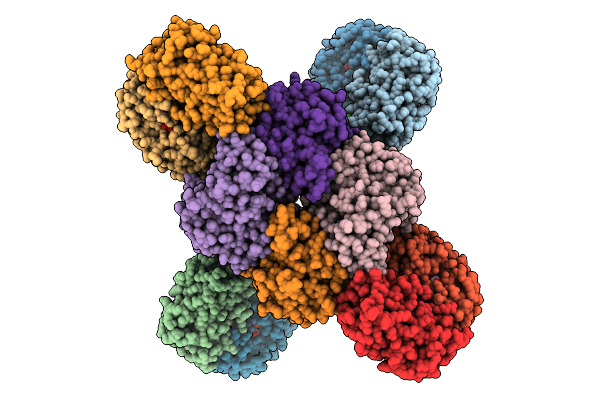 9XVC image
