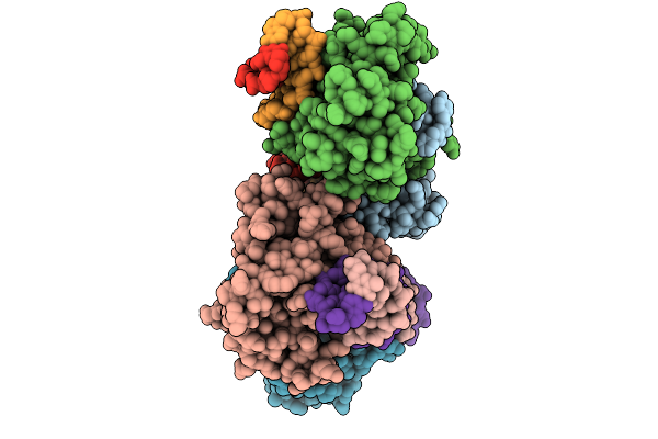 9XVD image