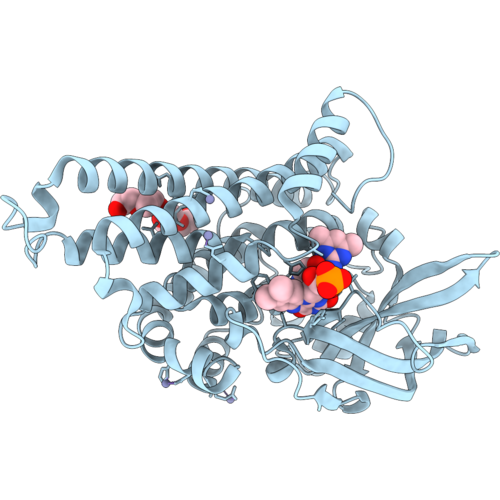 9XVK image