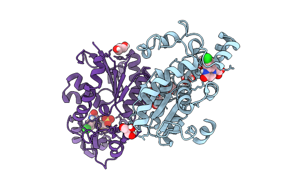 9XVS image