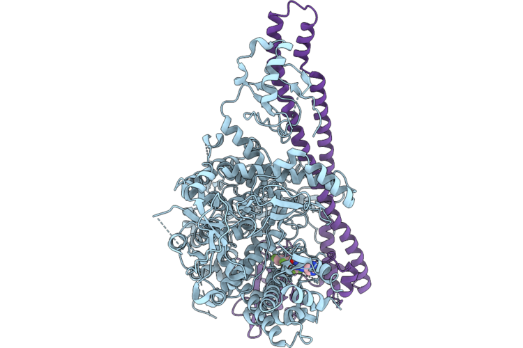 9XW5 image
