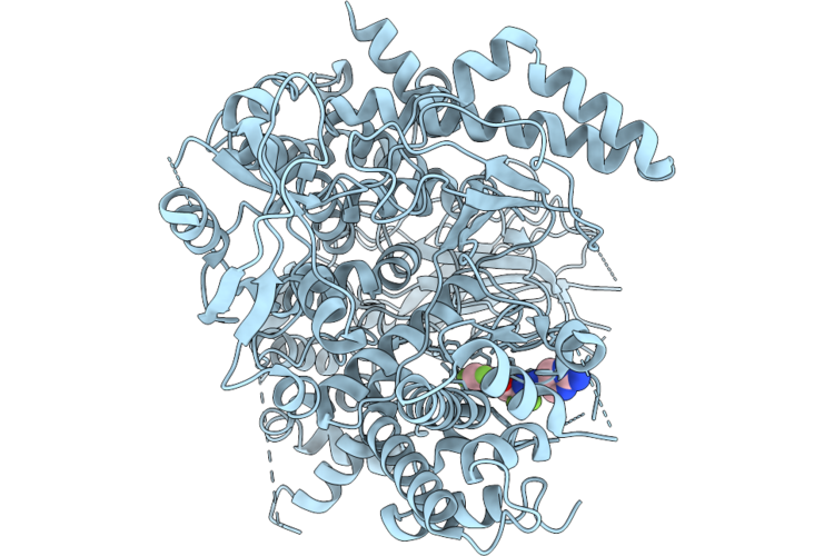 9XW8 image