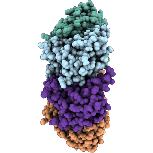 9XYH image