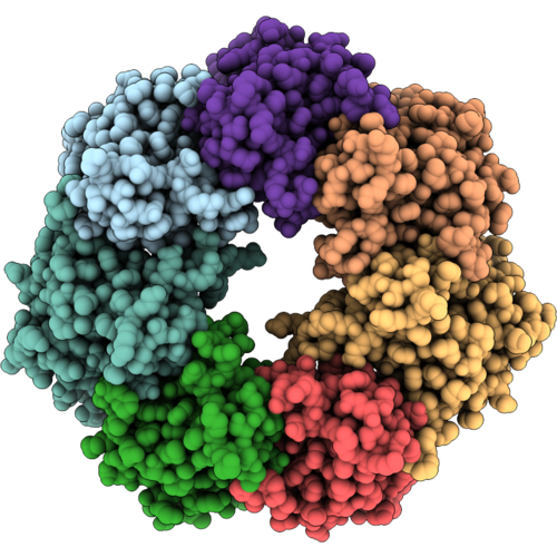 9XYJ image