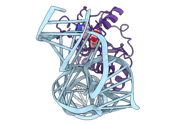 9XZR image