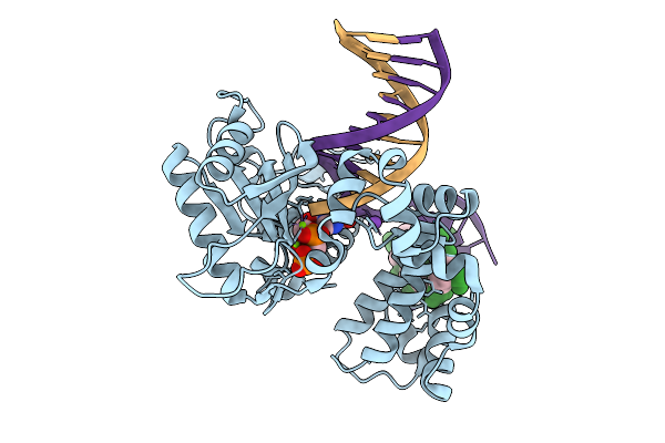 9Y1B image