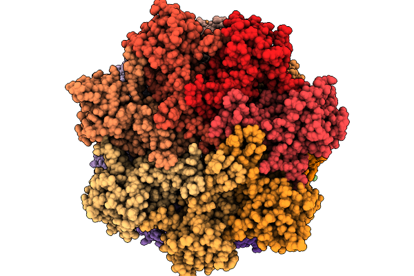 9Y1O image