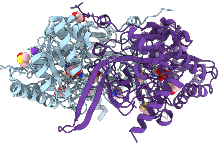 9Y1P image