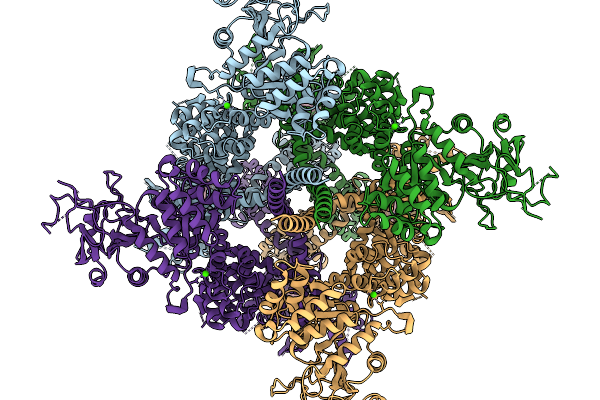 9Y2A image