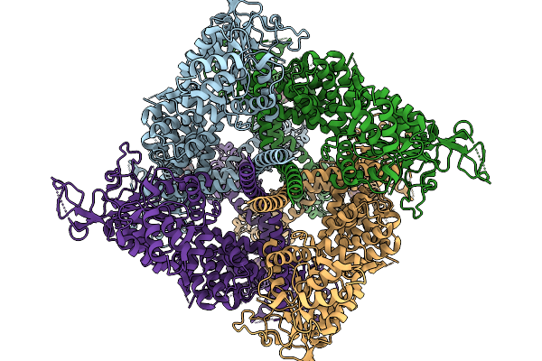 9Y2B image