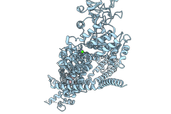 9Y2C image