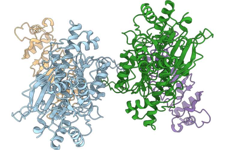9Y2F image