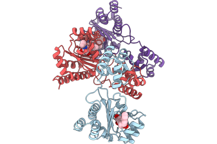 9Y2H image
