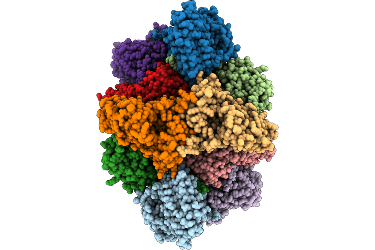 9Y3P image