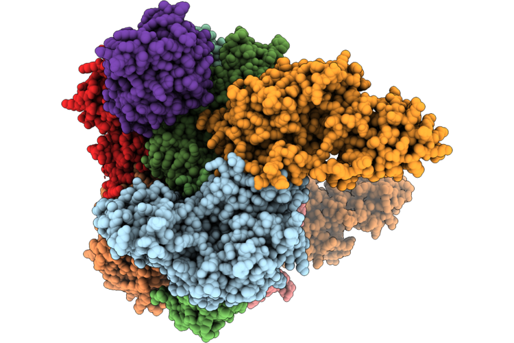9Y4B image
