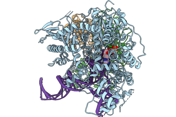 9Y4C image