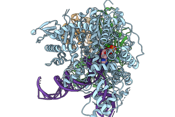 9Y4D image