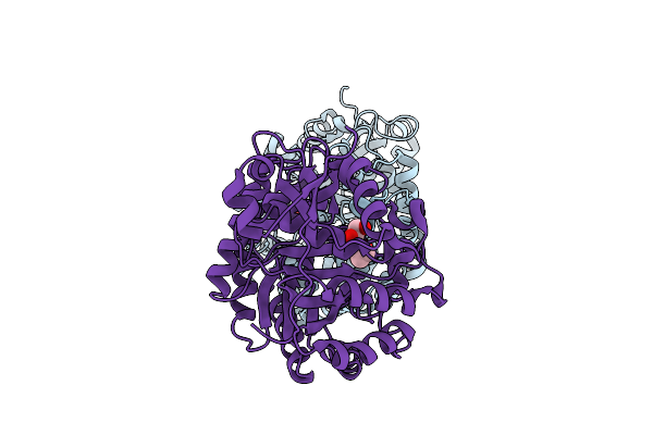 9Y4V image