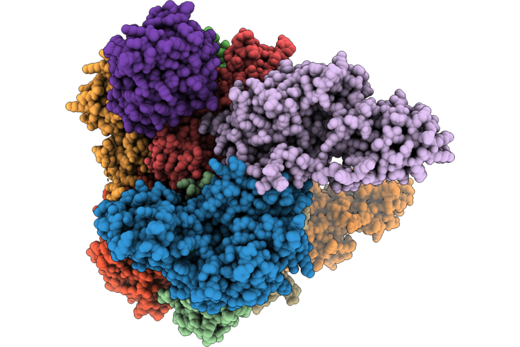 9Y4W image