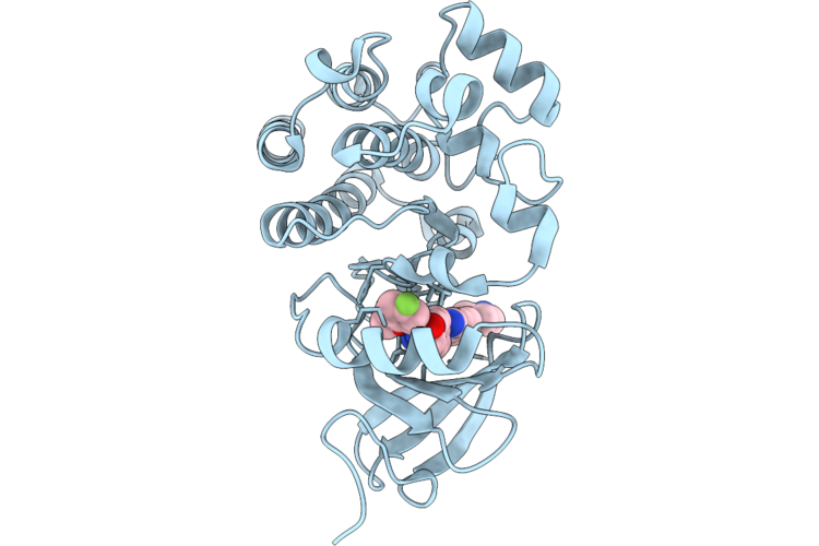 9Y5B image