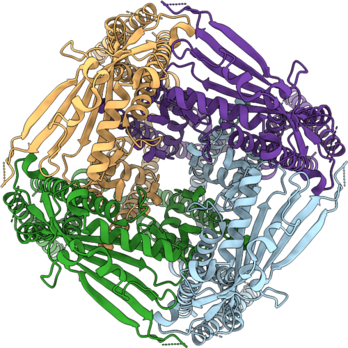 9Y5J image