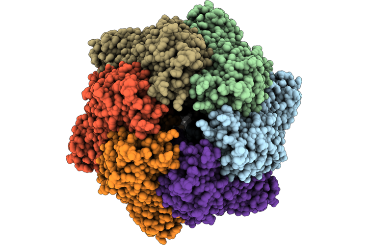 9Y5M image