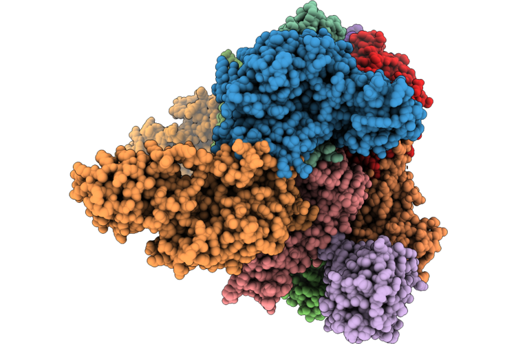 9Y5R image