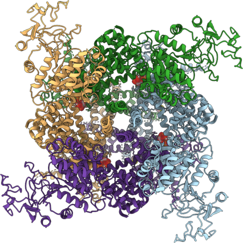 9Y6A image