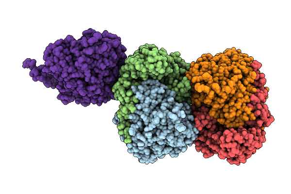 9Y6B image