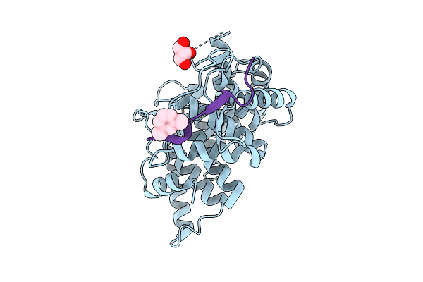 9Y6C image