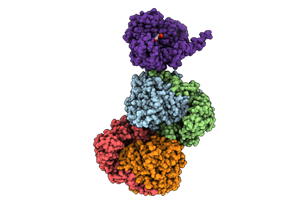 9Y6D image