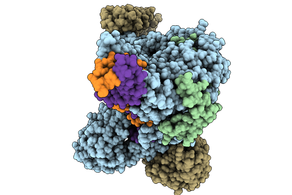 9Y6V image