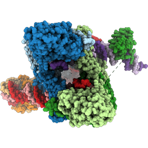 9Y7B image