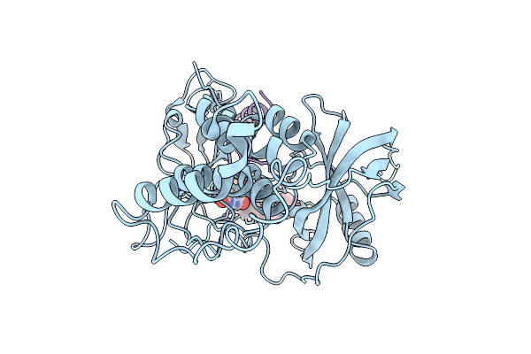 9Y7D image