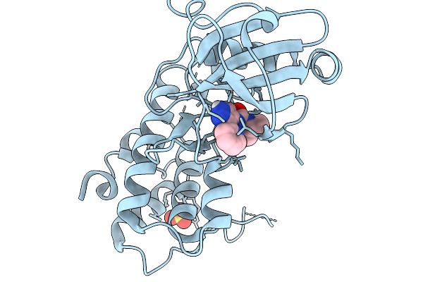 9Y9B image
