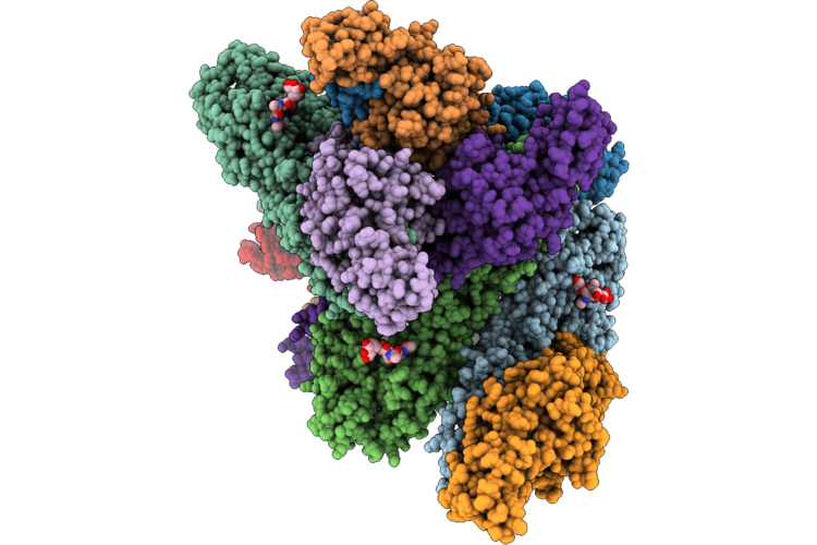 9YB1 image