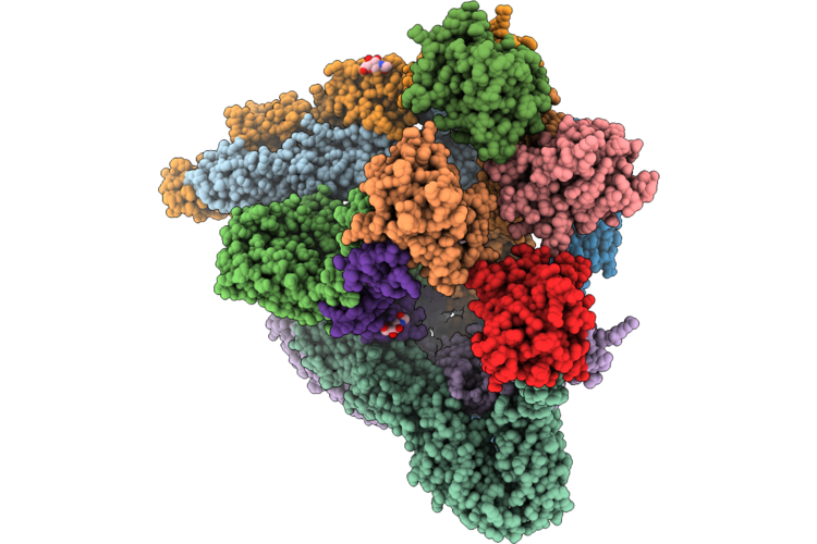 9YB4 image