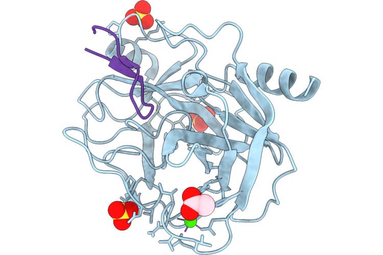 9YBC image