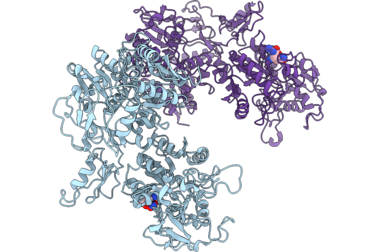 9YBE image