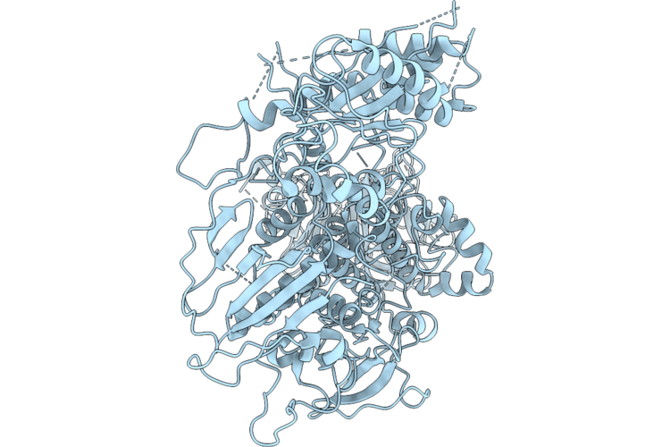 9YBP image