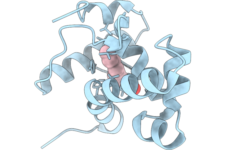 9YBS image