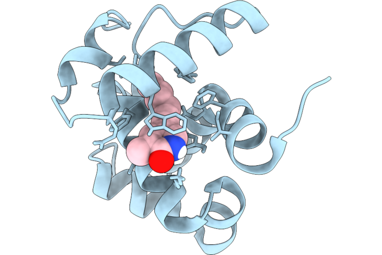 9YBT image