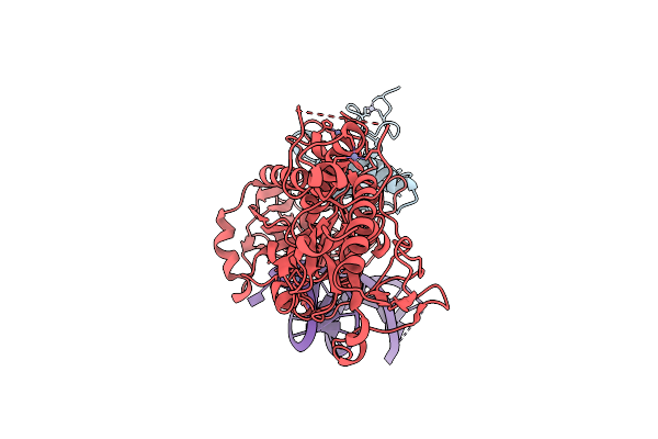 9YCK image