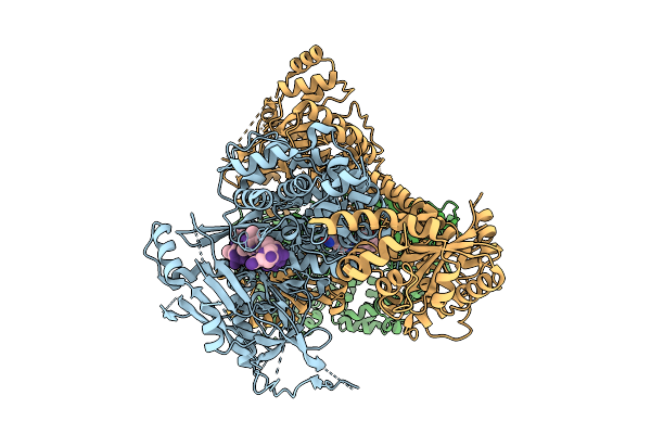 9YCV image