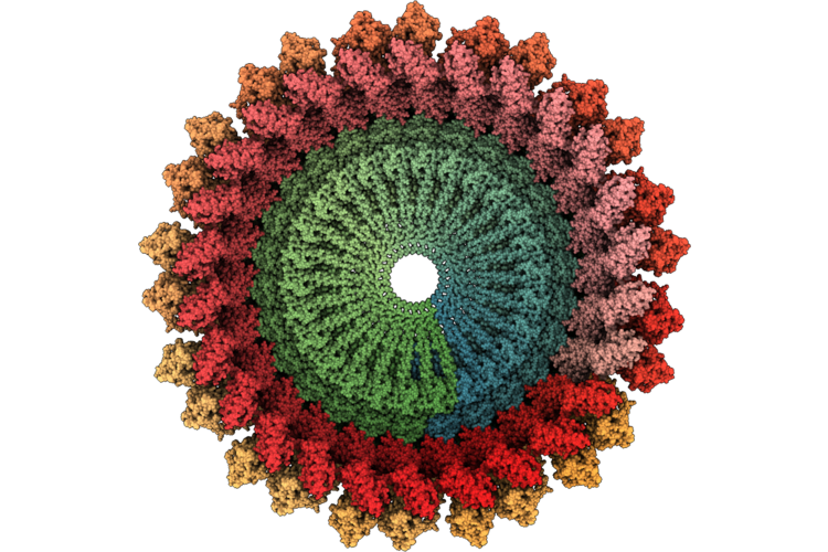 9YEC image