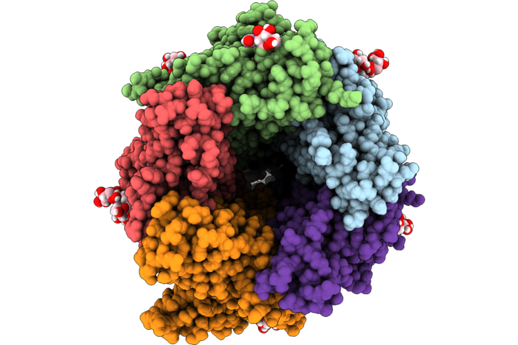 9YEX image